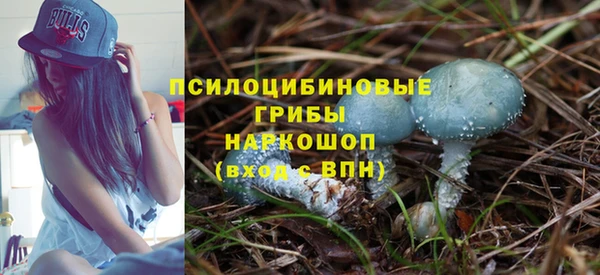 прущий лед Арсеньев